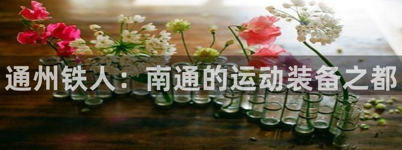 意昂体育4联系电话：通州铁人：南通的运动装备之都