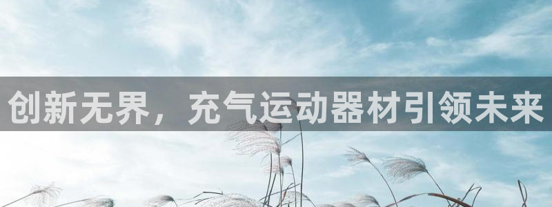 意昂4集团：创新无界，充气运动器材引领未来