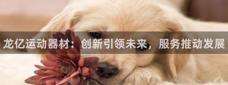意昂4代理：龙亿运动器材：创新引领未来，服务推动发展