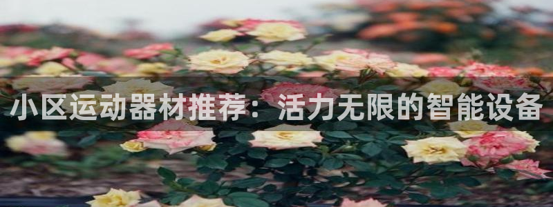 意昂体育4注册：小区运动器材推荐：活力无限的智能设备