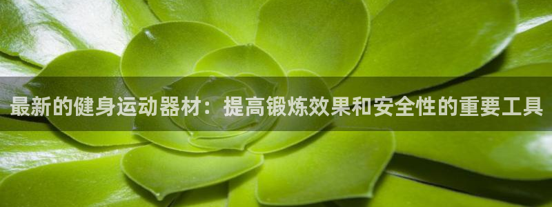意昂体育4平台是正规平台吗安全吗：最新的健身运动器材