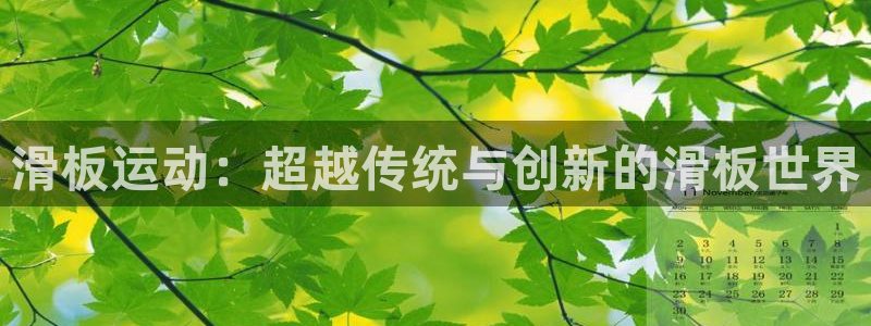 意昂体育4招商电话：滑板运动：超越传统与创新的滑板世