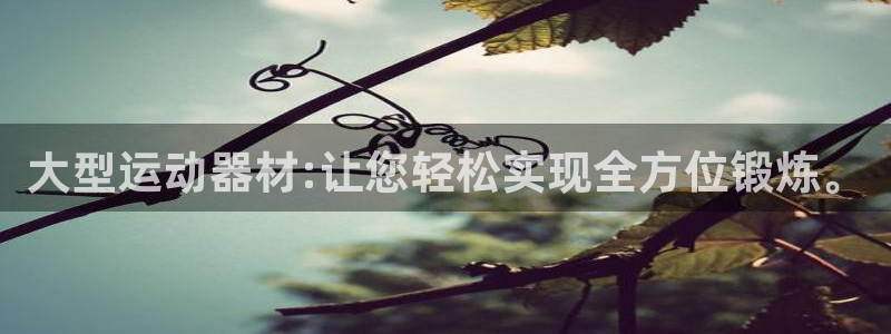意昂4集团简介