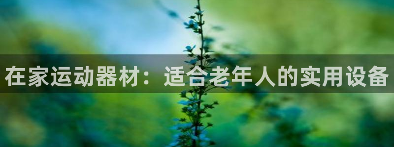 意昂体育4官方客服电话：在家运动器材：适合老年人的实用设备