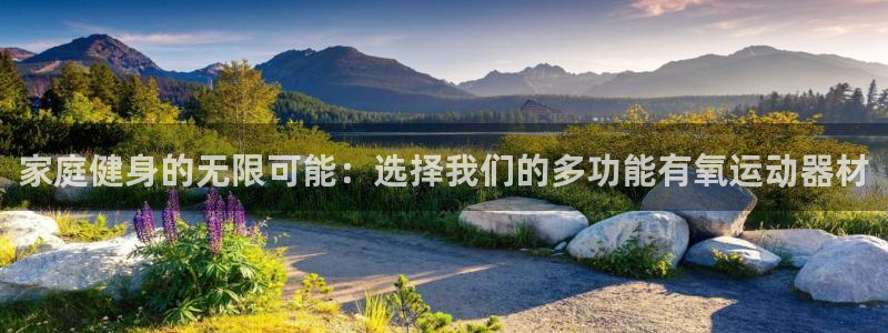 意昂4集团官网首页网址：家庭健身的无限可能：选择我们的多功能