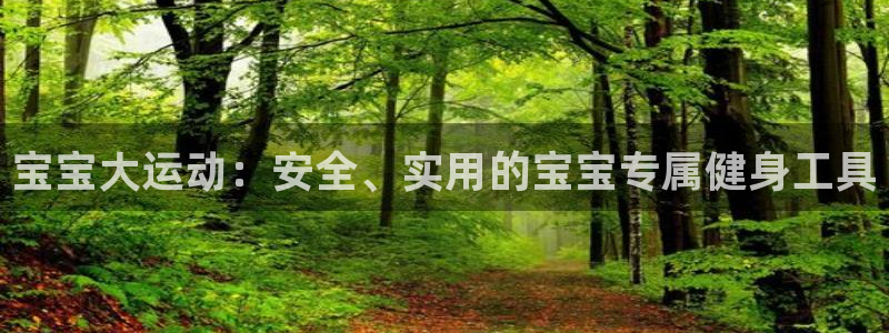 意昂平台体育：宝宝大运动：安全、实用的宝宝专属健身工