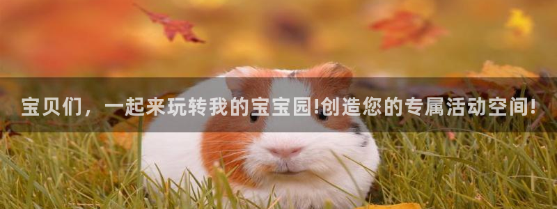 意昂4集团官网首页：宝贝们，一起来玩转我的宝宝园!创造您的专