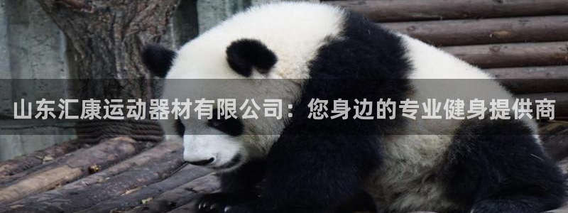 意昂体育4平台注册要钱吗：山东汇康运动器材有限公司：