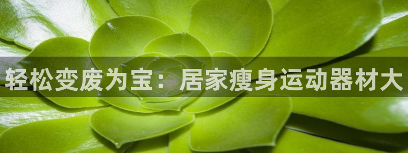 意昂体育4开户：轻松变废为宝：居家瘦身运动器材大
