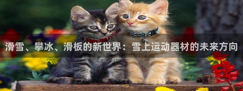 海南意昂体育4发展怎么样