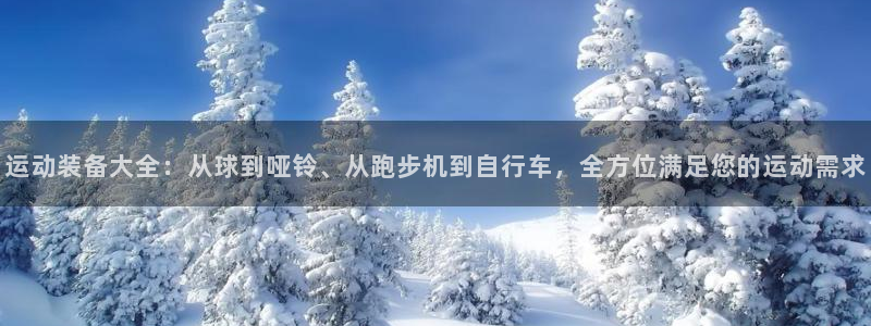 意昂体育4平台注册流程图：运动装备大全：从球到哑铃、