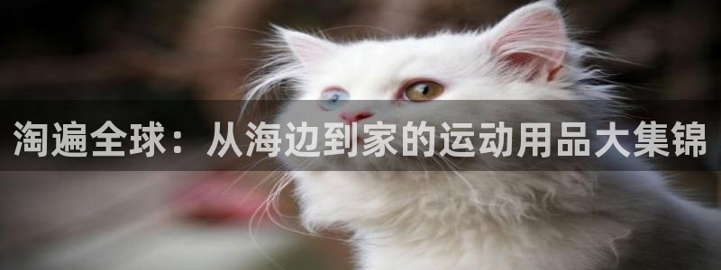 意昂4娱乐首页网站大全：淘遍全球：从海边到家的运动用品大集锦