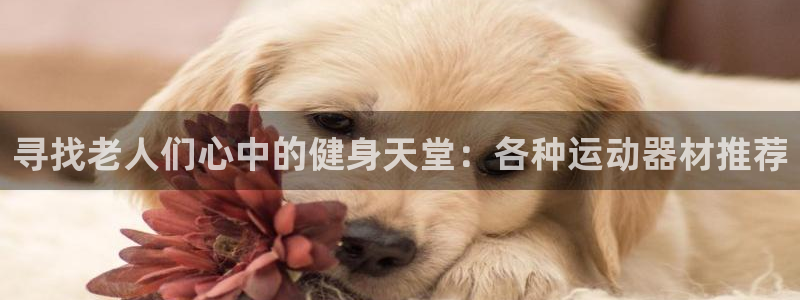 意昂4娱乐40996：寻找老人们心中的健身天堂：各种
