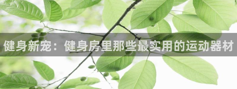 意昂体育4平台注册流程图：健身新宠：健身房里那些最实