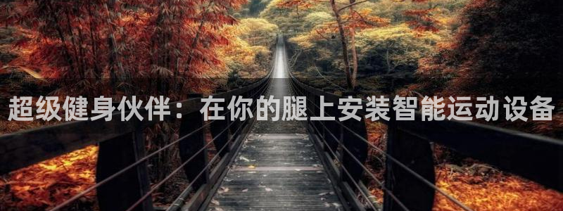 意昂体育4招商电话是多少啊：超级健身伙伴：在你的腿上