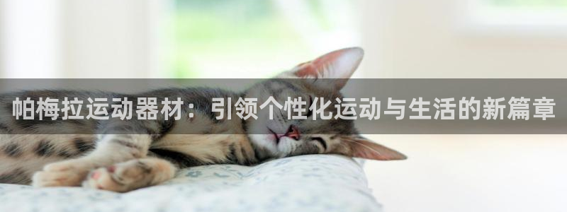 注册意昂4：帕梅拉运动器材：引领个性化运动与生活的新