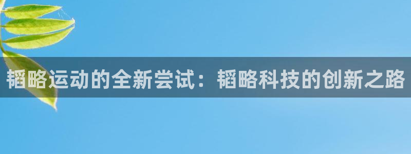 意昂体育4平台注册流程图：韬略运动的全新尝试：韬略科技的创新