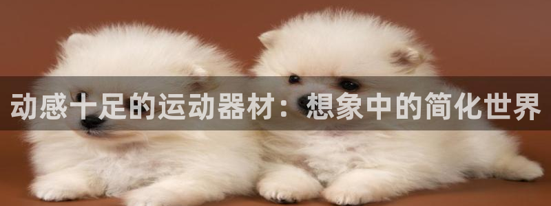意昂4娱乐首页网站大全：动感十足的运动器材：想象中的简化世界