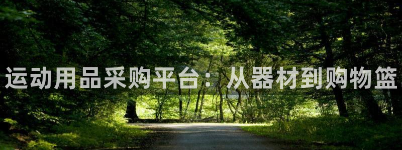 意昂4神州：运动用品采购平台：从器材到购物篮