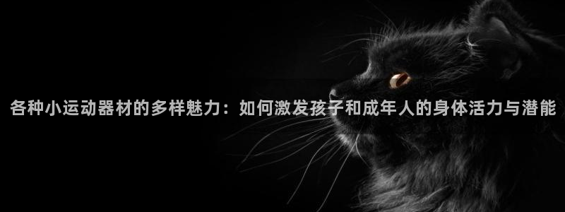 意昂体育4招商电话地址查询：各种小运动器材的多样魅力：如何激