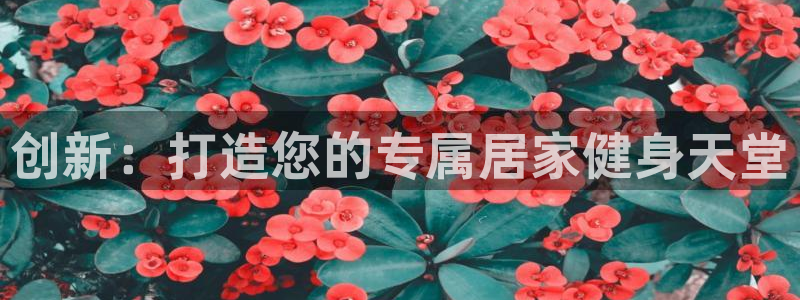 意昂体育4平台APP