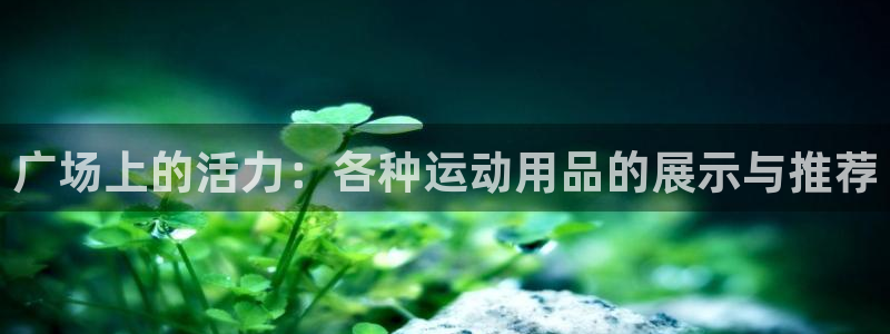 意昂体育4招商电话号码是多少：广场上的活力：各种运动