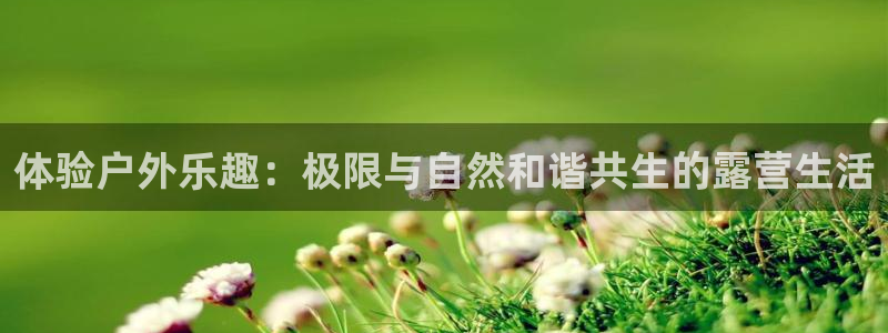 意昂4集团官网首页：体验户外乐趣：极限与自然和谐共生的露营生