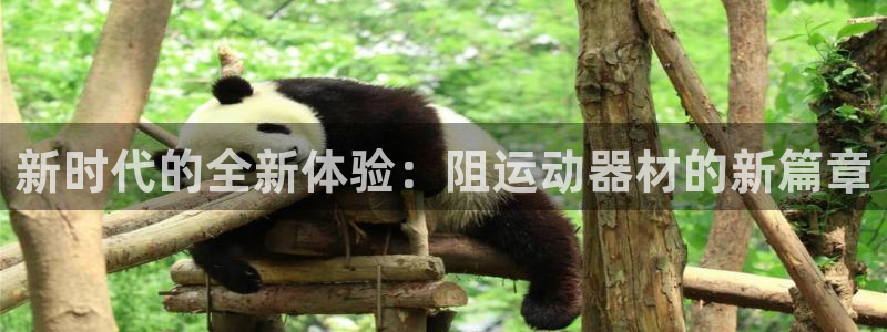 意昂体育4平台注册流程视频：新时代的全新体验：阻运动器材的新