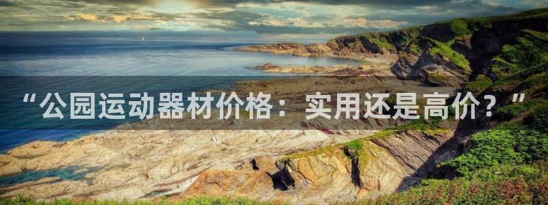 意昂体育4招商：“公园运动器材价格：实用还是高价？”