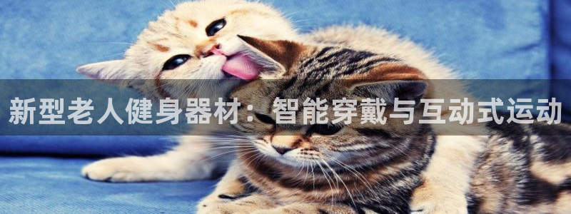 意昂4开户：新型老人健身器材：智能穿戴与互动式运动