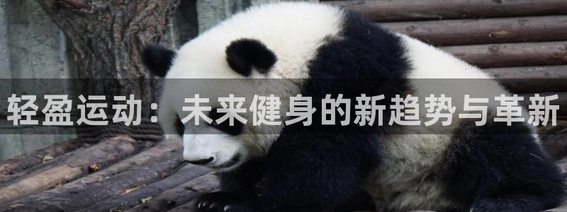 意昂4集团官网网址：轻盈运动：未来健身的新趋势与革新