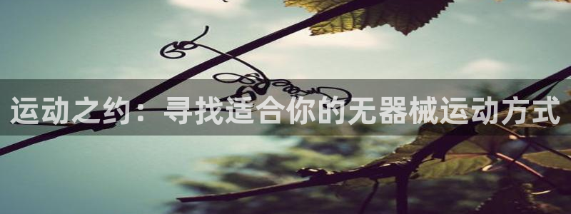 意昂4娱乐首页官网下载：运动之约：寻找适合你的无器械