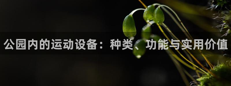 意昂4集团官网首页网址