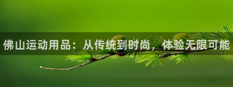 意昂体育4平台注册流程图：佛山运动用品：从传统到时尚