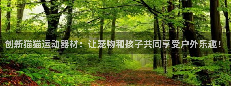 意昂体育4招商电话号码查询：创新猫猫运动器材：让宠物