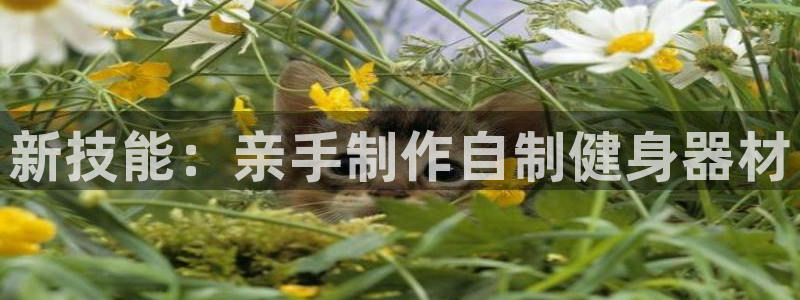 意昂体育4招商电话是多少啊：新技能：亲手制作自制健身