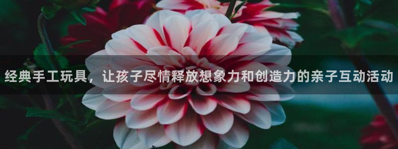 意昂体育4招商电话号码是多少：经典手工玩具，让孩子尽