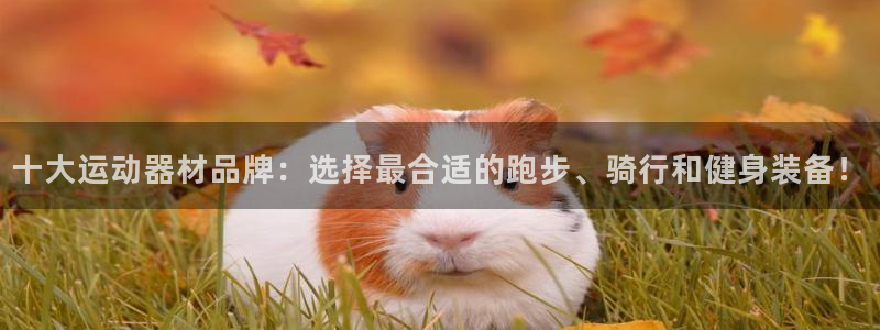 意昂体育4平台是正规平台吗知乎