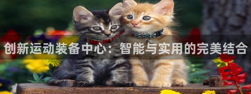 海南意昂体育4：创新运动装备中心：智能与实用的完美结合