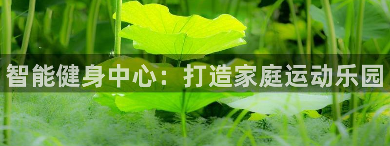 意昂体育4平台注册：智能健身中心：打造家庭运动乐园