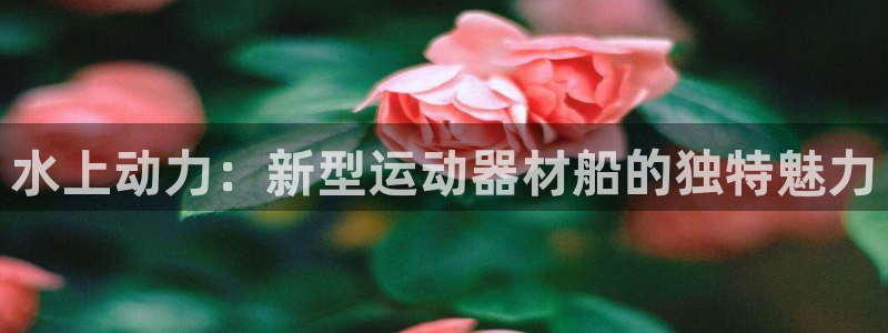 意昂4科技：水上动力：新型运动器材船的独特魅力