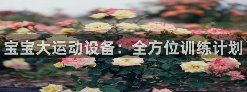 意昂体育4平台注册要钱吗安全吗：宝宝大运动设备：全方位训练计