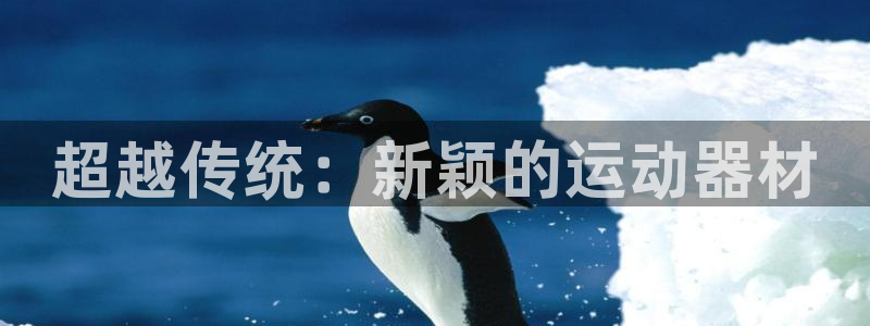 意昂平台体育：超越传统：新颖的运动器材
