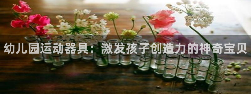意昂体育4平台注册流程图：幼儿园运动器具：激发孩子创造力的神