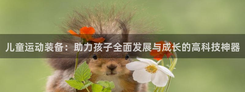 意昂体育4平台是正规平台吗知乎：儿童运动装备：助力孩子全面发