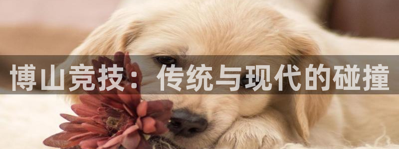 意昂体育4招商电话：博山竞技：传统与现代的碰撞