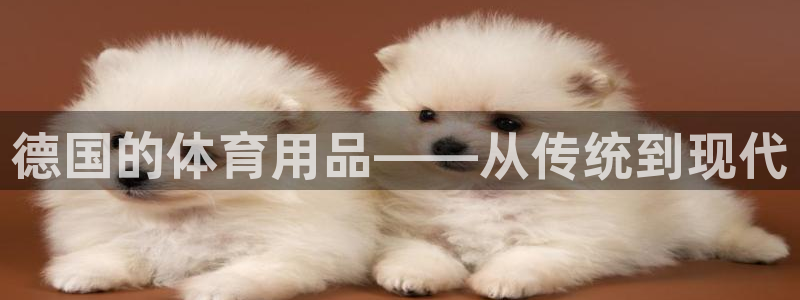 意昂4开户：德国的体育用品——从传统到现代