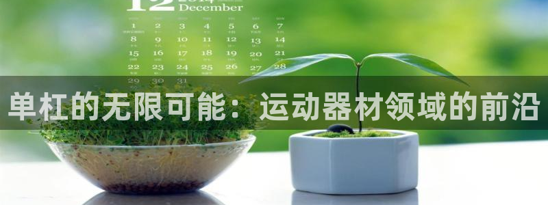 意昂体育4招商电话是多少号码：单杠的无限可能：运动器材领域的