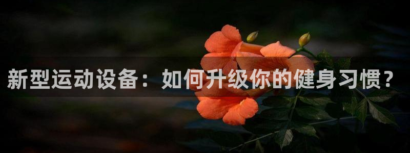 意昂体育4平台注册流程视频：新型运动设备：如何升级你的健身习
