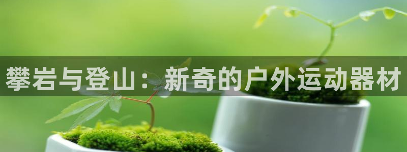 意昂体育4平台注册要钱吗是真的吗：攀岩与登山：新奇的